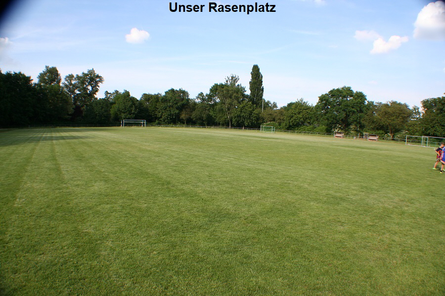 Rasenplatz900